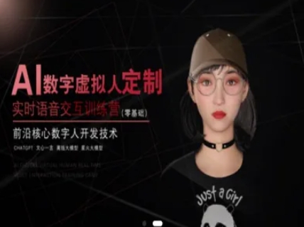 AI数字虚拟人定制，实时语音交互训练营(零基础)，前沿核心数字人开发技术-网创资源站