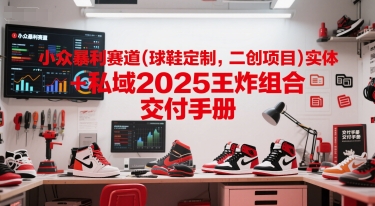 小众暴利赛道(球鞋定制，二创项目)实体+私域2025王炸组合  交付手册-网创资源站