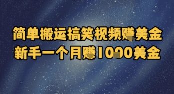 简单搬运搞笑视频挣美金，新手一个月入1k美金-网创资源站