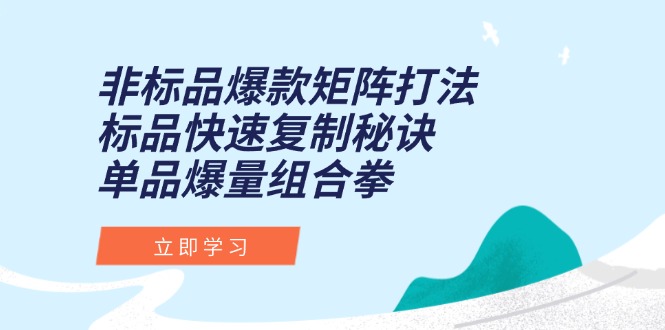 非标品爆款矩阵打法，标品快速复制秘诀，单品爆量组合拳-网创资源站