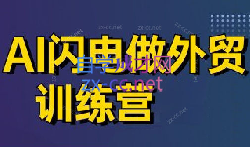 大卫·AI闪电做外贸训练营(更新6月)-网创资源站