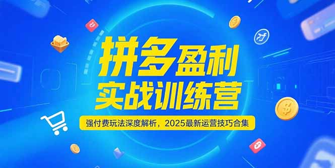 拼多多盈利实战训练营，强付费玩法深度解析，2025运营技巧合集-更新6月-网创资源站