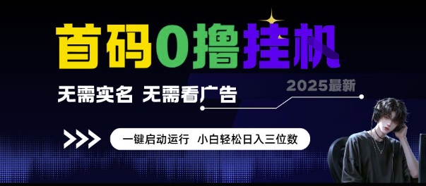 首码0撸挂G项目，无需实名无需看广告 一键启动运行，小白轻松日入三位数【揭秘】-网创资源站