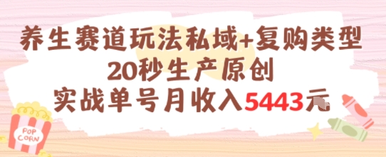 养生赛道玩法私域+复购类型，20秒生产原创实战单号月收入5k+-网创资源站