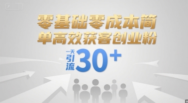零基础零成本简单高效获客创业粉，一天引流30+-网创资源站