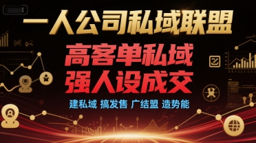 一人公司私域联盟，高客单私域，强人设成交，建私域 搞发售 广结盟 造势能-网创资源站