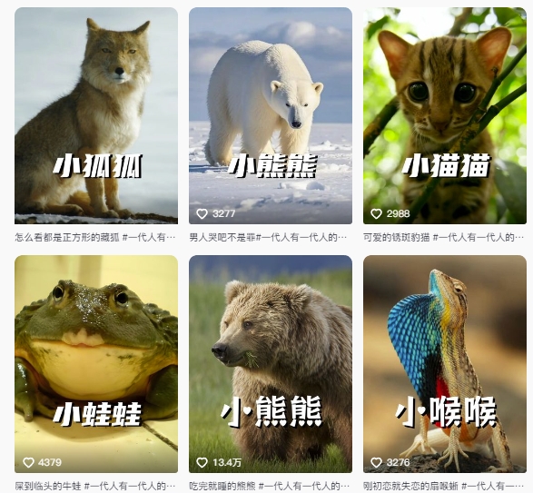 最新搞笑动物百科详细解说课程,蓝海赛道,流量非常大,轻松签独家进精选