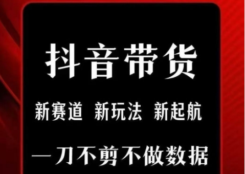 抖音短视频一刀不剪带货，不剪辑，不直播，每天发个视频，等着出单获取带货佣金-网创资源站
