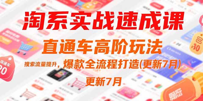 淘系实战速成课，直通车高阶玩法，搜索流量提升，爆款全流程打造(更新7月-网创资源站