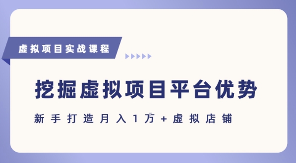 抓住虚拟项目各平台优势，新手轻松月入1W+(给出具体建议)-网创资源站