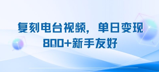 复刻电台视频，单日变现8张+新手友好，长期可做-网创资源站