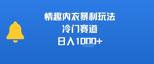 情趣内衣暴利玩法，冷门赛道，日入1k+-网创资源站