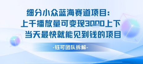 小众蓝海赛道项目：当天变现1k+适合新手操作 +适合长期玩-网创资源站