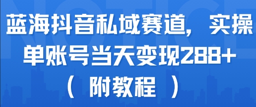 蓝海抖音私域赛道，实操单账号当天变现288+(附教程)-网创资源站