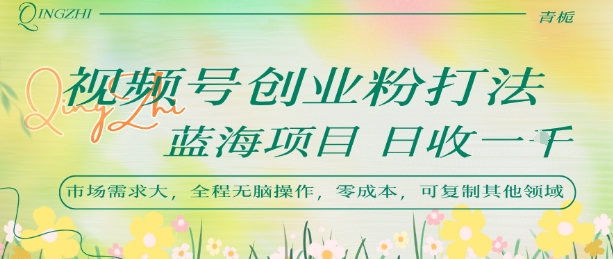 视频号创业粉打法，日入1k，蓝海项目，市场需求大，全程无脑操作，可复制-网创资源站