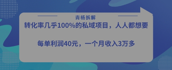 转化率最高的私域项目，每单利润40-50米，月入过1w-网创资源站