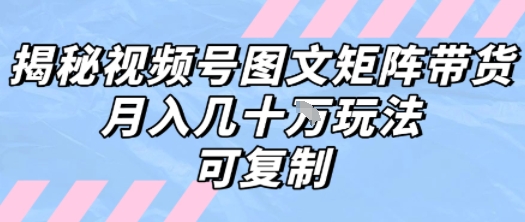 解密视频号图文矩阵带货，月入几个W的打法，可复制-网创资源站