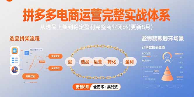 拼多多电商运营完整实战体系，从选品上架到稳定盈利完整商业闭环(更新8月-网创资源站
