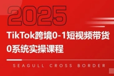 TikTok跨境0-1短视频带货，系统拆解TikTok跨境带货全链路，实现跨境可持续盈利-网创资源站