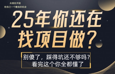 25年，你还在疯狂的找项目吗？别傻了，看完这个你都懂了【揭秘】-网创资源站