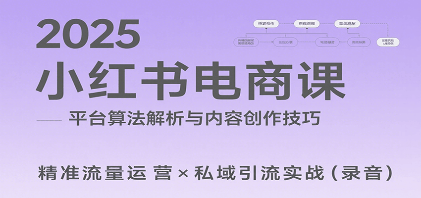 2025小红书电商课：解析算法，创作高转化内容，助力卖家获取流量实现变现(录音)-网创资源站