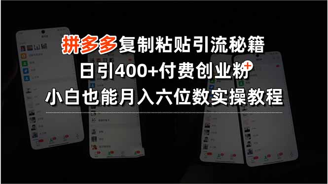 拼多多复制粘贴引流秘籍，日引400+付费创业粉，小白也能月入六位数实操…-网创资源站