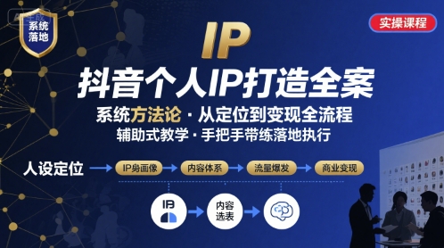 抖音个人IP系统落地实操大课，实操课程，辅助落地-网创资源站