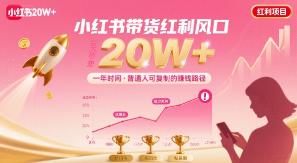 一年时间靠小红书带货项目年入20w+，最不能错的大红利项目-网创资源站
