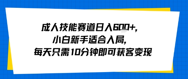 成人技能赛道日入多张，小白新手适合入局，每天只需10分钟即可获客变现-网创资源站