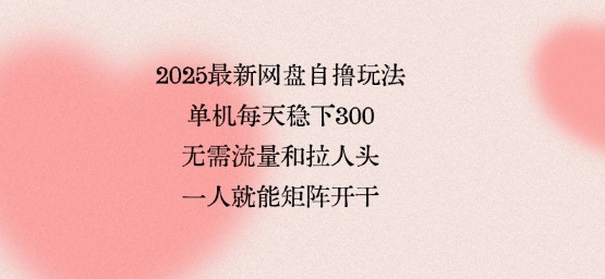 2025最新网盘自撸玩法，单机每天稳下3张，无需流量和拉人头，一个人就可轻松矩阵，全网独一份【揭秘】-网创资源站