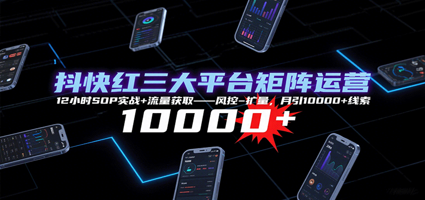 抖快红三大平台矩阵运营，12小时SOP实战+流量获取-风控-扩量，月引10000+线索-网创资源站