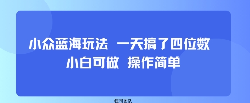 小众蓝海玩法 一天搞了四位数 小白可做 操作简单-网创资源站