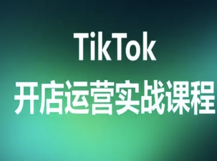 TikTok开店运营实战课程，TK跨境电商实操全流程-网创资源站
