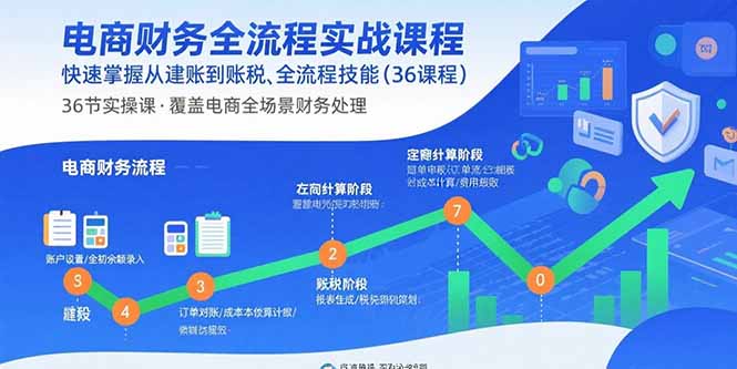 电商财务全流程实战课程：快速掌握从建账到报税的全流程技能(36节课-网创资源站