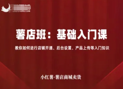 小红薯薯店商城卖货，基础入门课，教你如何进行店铺开通、后台设置、产品上传等入门知识-网创资源站
