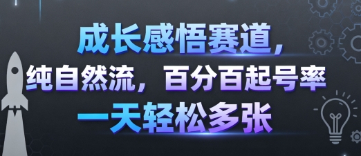 成长感悟赛道，纯自然流，百分百起号率 一天轻松多张-网创资源站