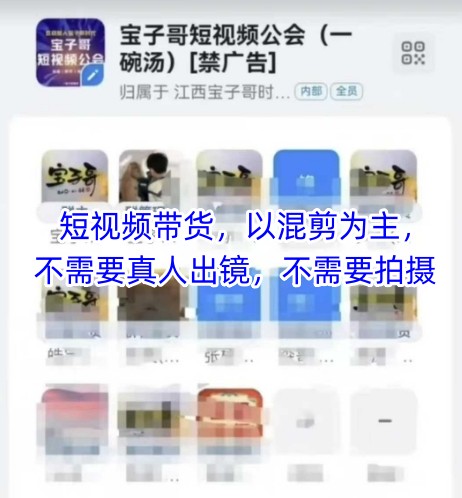 宝子哥头部团队短视频带货，以混剪为主，不需要真人出镜，不需要拍摄【更新9月】-网创资源站