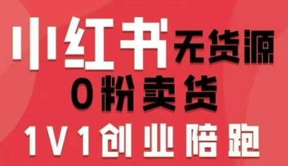 小红书无货源0粉电商课，开店准备、选品策略、笔记撰写、视频剪辑、数据分析、账号打造、资料文档-网创资源站