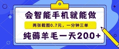 手机项目，二十秒一单，纯薅羊毛一天2张+做就有【揭秘】-网创资源站