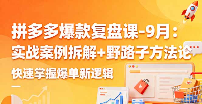 拼多多爆款复盘课-9月：实战案例拆解+野路子方法论，快速掌握爆单新逻辑-网创资源站