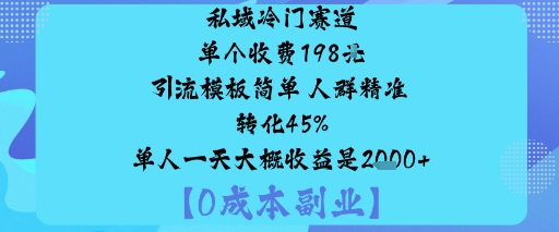 私域冷门赛道:单个收费198米引流模板简单人群精准转化45%单人一天大概收益是1k+-网创资源站
