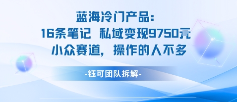 蓝海项目：16条笔记私域变现9750米小众赛道操作的人不多-网创资源站