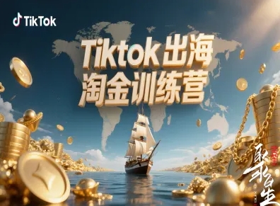 Tiktok出海淘金训练营，跨境电商TK实战变现-网创资源站