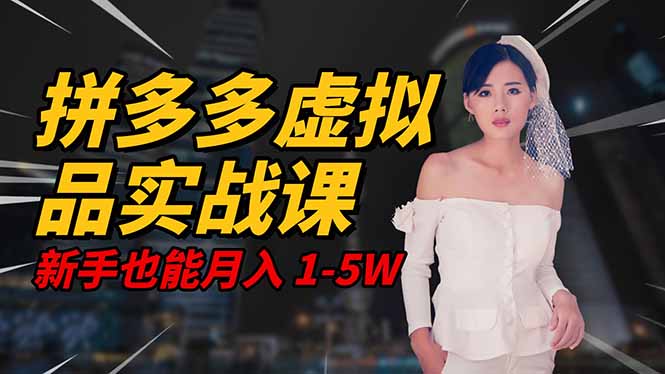 2025 拼多多虚拟品系统实战课，轻资产项目，可矩阵开工作室，新手也能…-网创资源站
