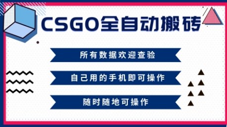 CSGO全自动搬砖，年底钱回家好项目，当天可拿到结果，新手小白轻松月入1W+【揭秘】-网创资源站