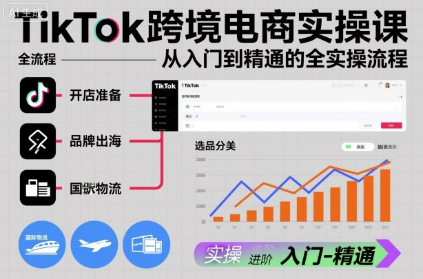 TikTok跨境电商实操课，从入门到精通的全实操流程-网创资源站