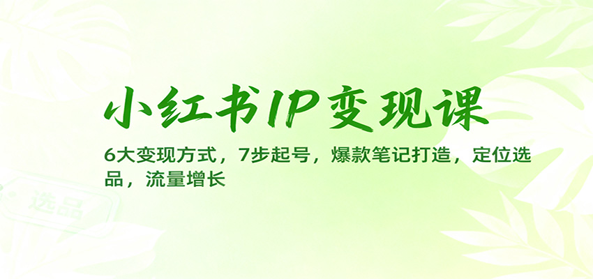 小红书IP变现课：6大变现方式，7步起号，爆款笔记打造，定位选品，流量增长-网创资源站