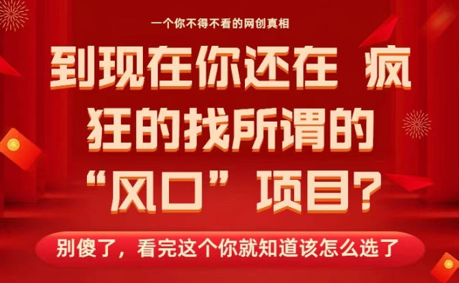 马上26年了，你还在找所谓的风口项目？别傻了，看完这个你全都懂了！【揭秘】-网创资源站