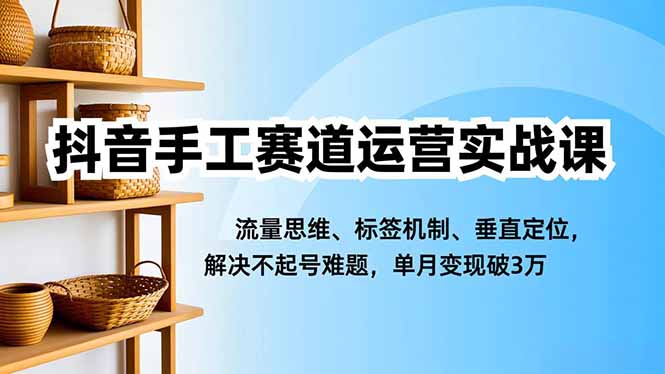 抖音手工赛道运营实战课，流量思维、标签机制、垂直定位，解决不起号难题，单月变现破3万-网创资源站
