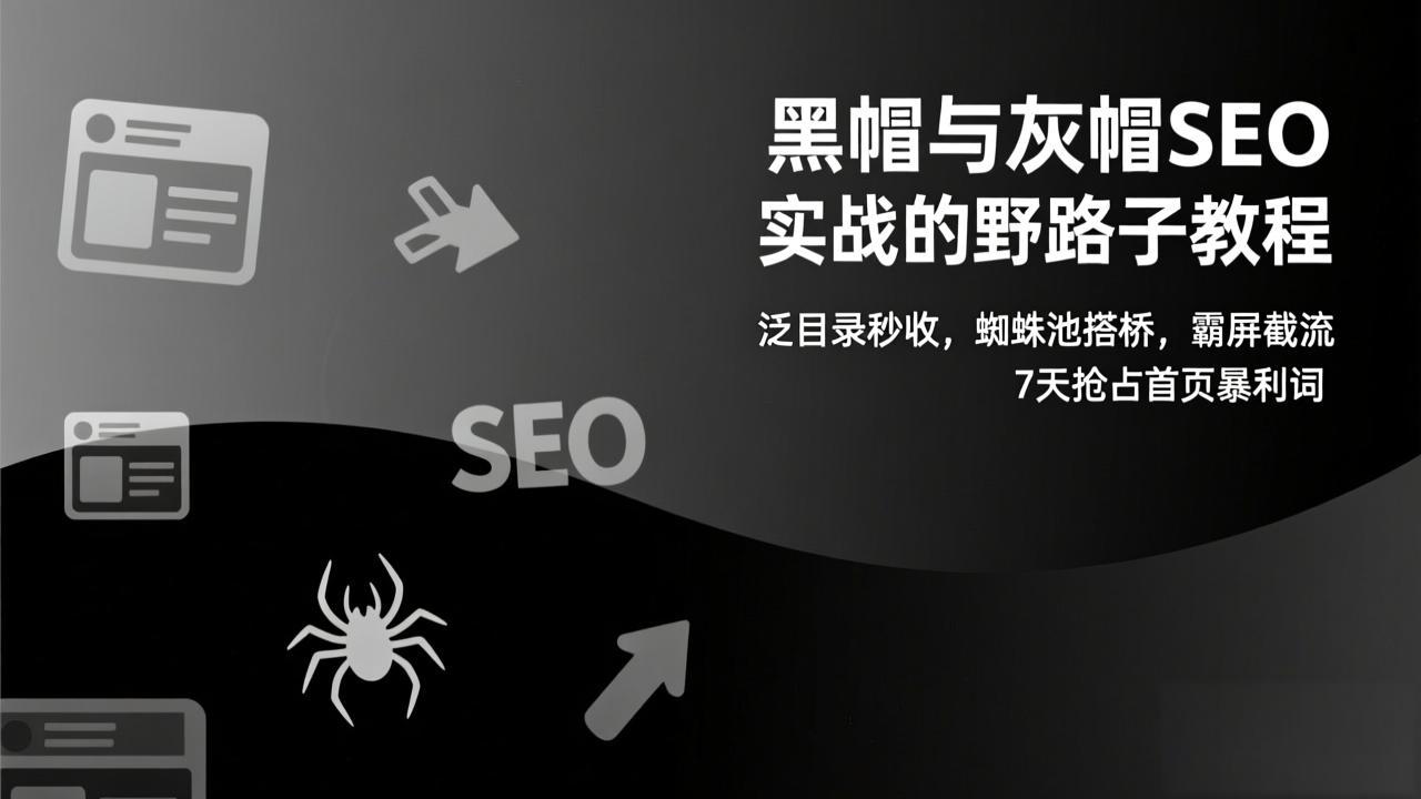 黑帽与灰帽SEO实战的野路子教程：泛目录秒收，蜘蛛池搭桥，霸屏截流，7天抢占首页暴利词-网创资源站